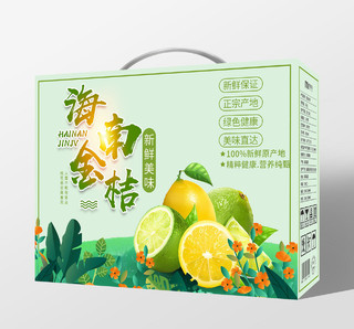 简约淡绿小清新水果包装盒海南金桔礼盒包装手提礼盒
